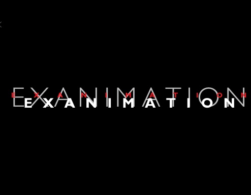 ExAnimation