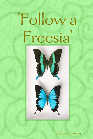 'Follow a Freesia'