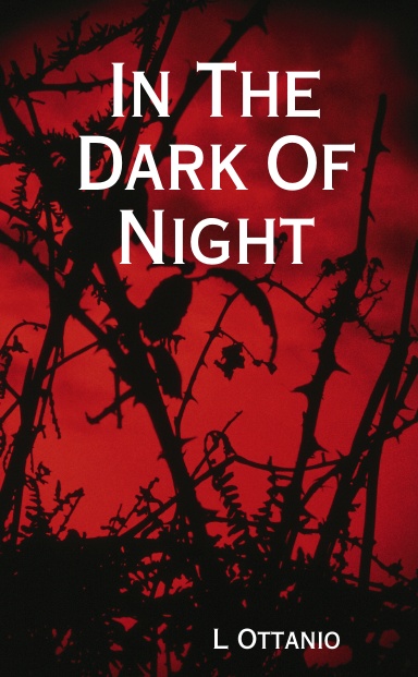 In The Dark Of Night