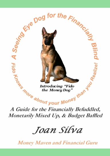 A Seeing-Eye Dog for the Financially Blind: FIDO Knows More About your Money than you Realize
