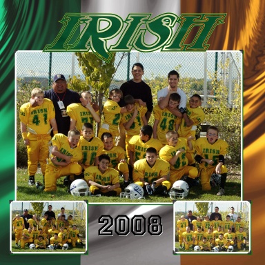 2008 Irish