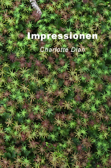 Impressionen
