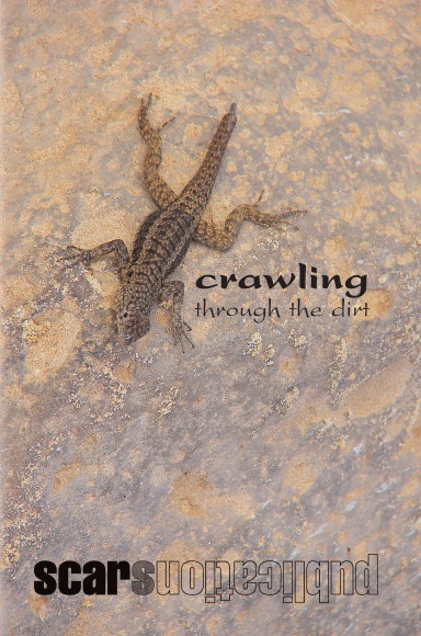 Crawling Through the Dirt (6" x 9" hardcover, b&w interior pages)