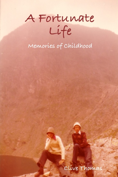 A Fortunate Life