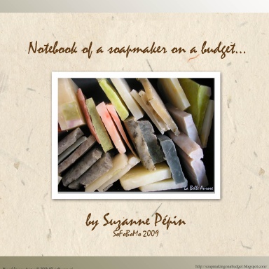 Notebook of a soapmaker on a budget...