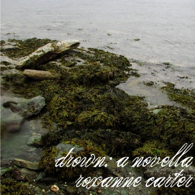 drown: a novella