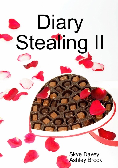Diary Stealing 2