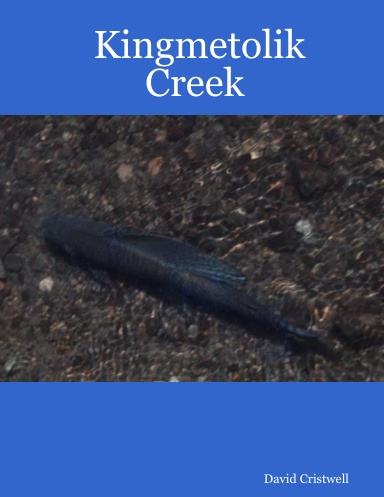 Kingmetolik Creek