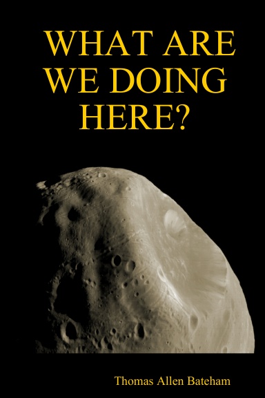 WHAT ARE WE DOING HERE?