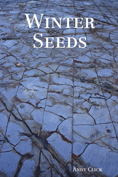 Winter Seeds
