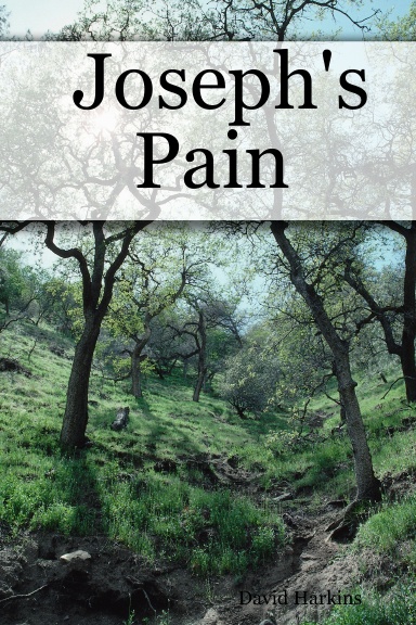 Joseph's Pain