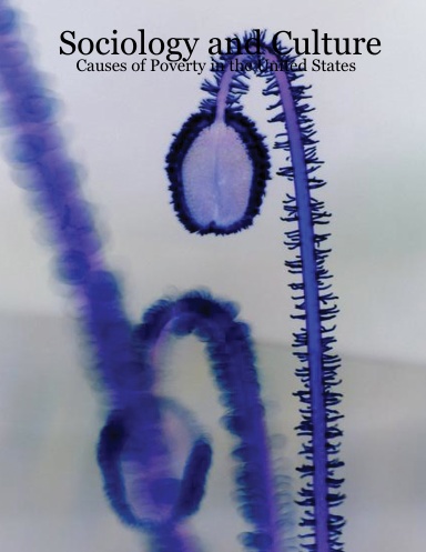 Sociology and Culture: Causes of Poverty in the United States