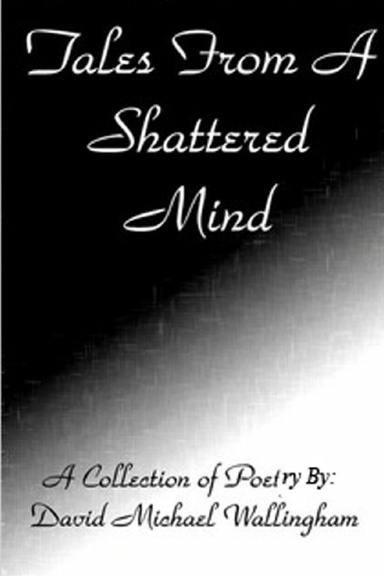 Tales From a Shattered Mind