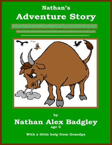 Nathan's Adventure Story