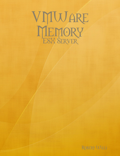 VMware memory