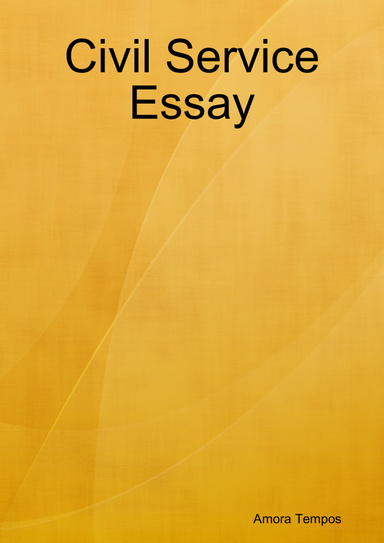 Civil Service Essay