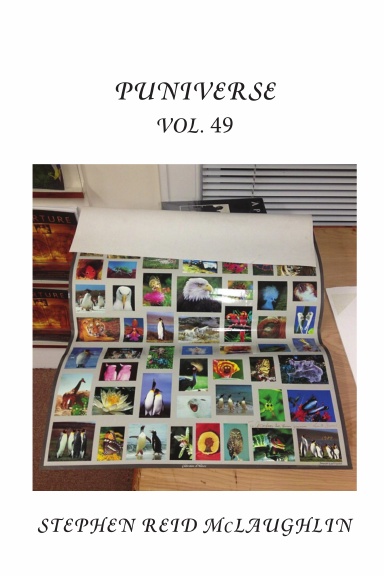 Puniverse (Vol. 49)