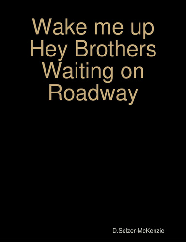 Wake me up - Hey Brothers - Waiting on Roadway