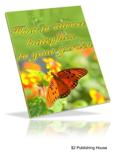 How To Attract Butterflies To Your Garden