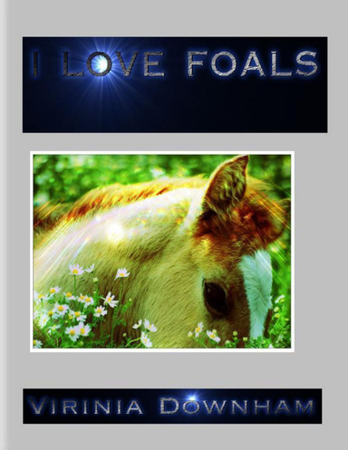 I Love Foals