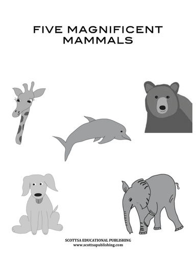 Five Magnificent Mammals