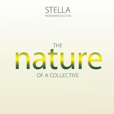Stella: The Nature of a Collective