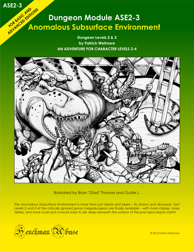 Cover of ASE2-3: Anomalous Subsurface Environment