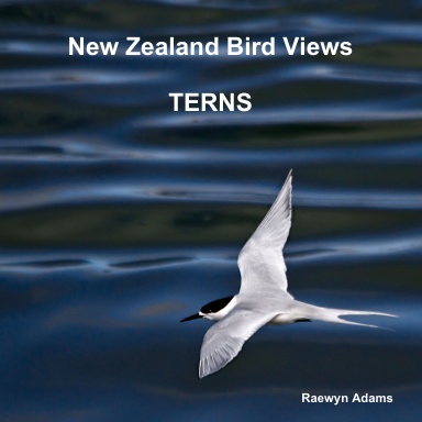 New Zealand bird views : terns