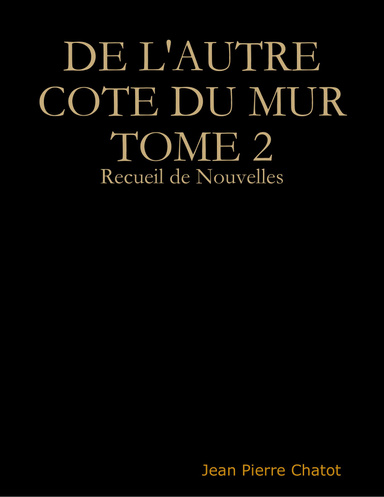DE L'AUTRE COTE DU MUR TOME 2