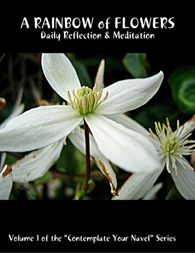A Rainbow of Flowers: Daily Reflection & Meditation: Volume 1 of the "Contemplate Your Navel" Series