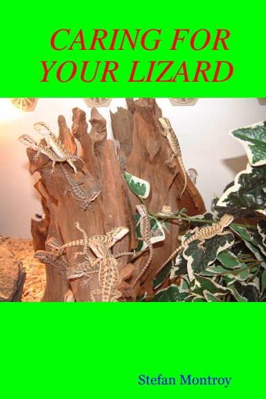 CARING FOR YOUR LIZARD