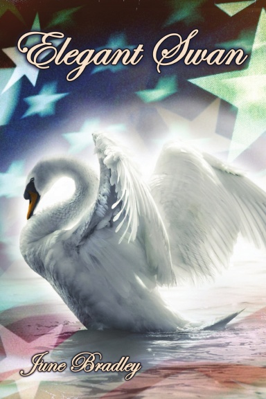 An Elegant Swan