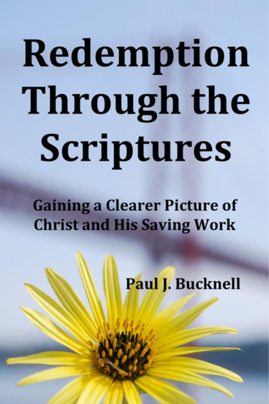 Redemption Through the Scriptures: Gaining a Clearer Picture of Christ and His Saving Work