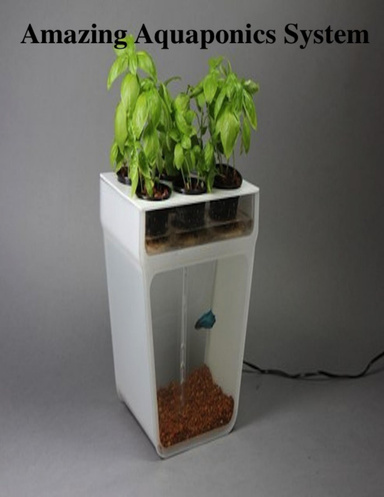 Amazing Aquaponics System