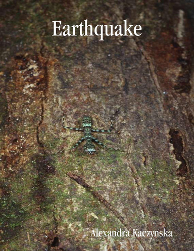 Earthquake