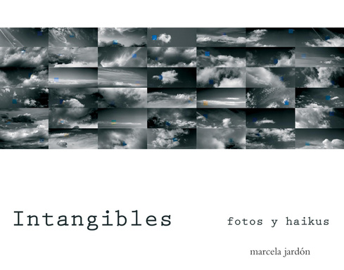 Intangibles: fotografías y haikus