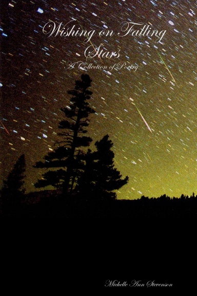 Wishing on Falling Stars: A Collection of Poetry