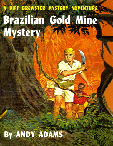 Brazilian Gold Mine Mystery