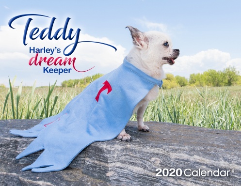 Teddy - Harley's Dream Keeper 2020 Calendar