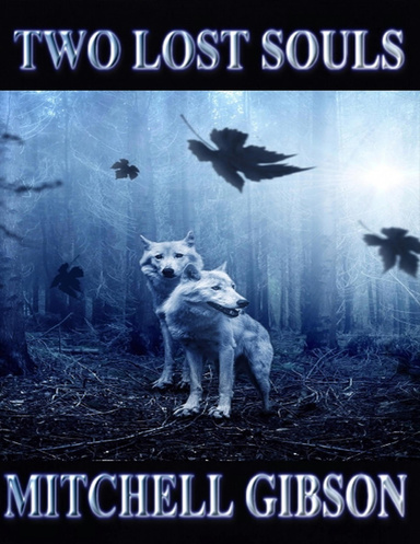 Two Lost Souls