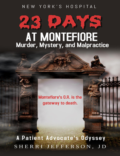 23 Days At Montefiore Murder, Mystery, and Malpractice a Patient Advocate's Odyssey