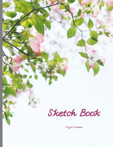 Sketch Book
