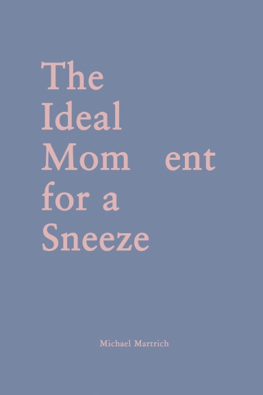 The Ideal Mom   ent for a Sneeze