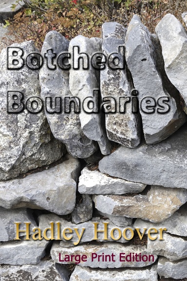 Botched Boundaries (LP)