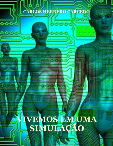 Vivemos em uma simulação