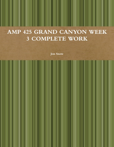 AMP 425 GRAND CANYON WEEK 3 COMPLETE WORK