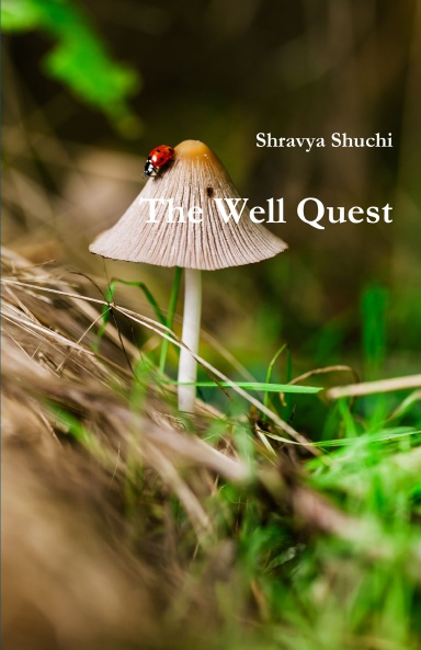 The Well Quest