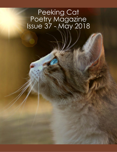Peeking Cat Poetry Magazine Issue 37 - May 2018