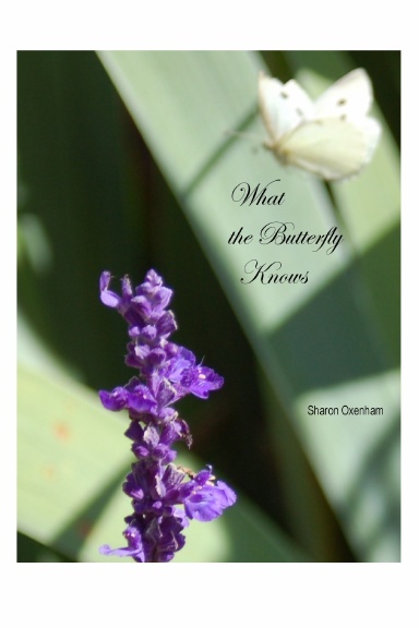 What the Butterfly Knows