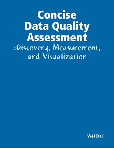 Concise Data Quality Assessment: Discovery, Measurement, and Visualization